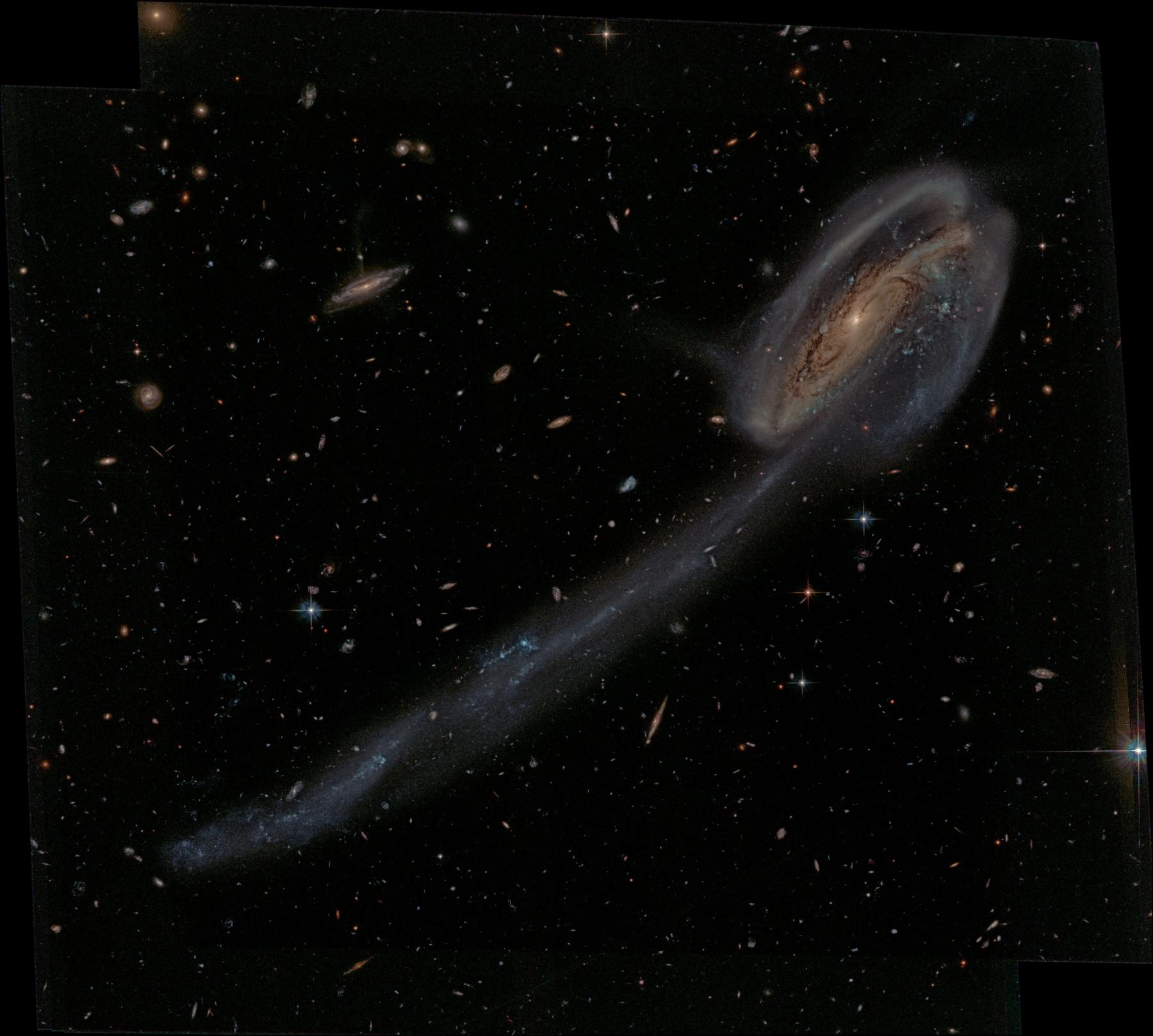 Arp 188 and the Tadpole’s Tail