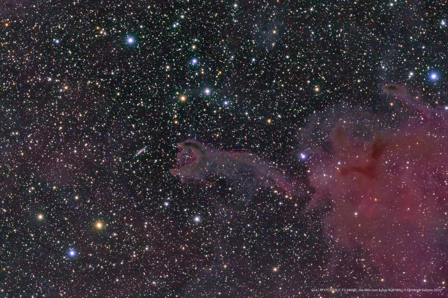 Cometary Globule CG4