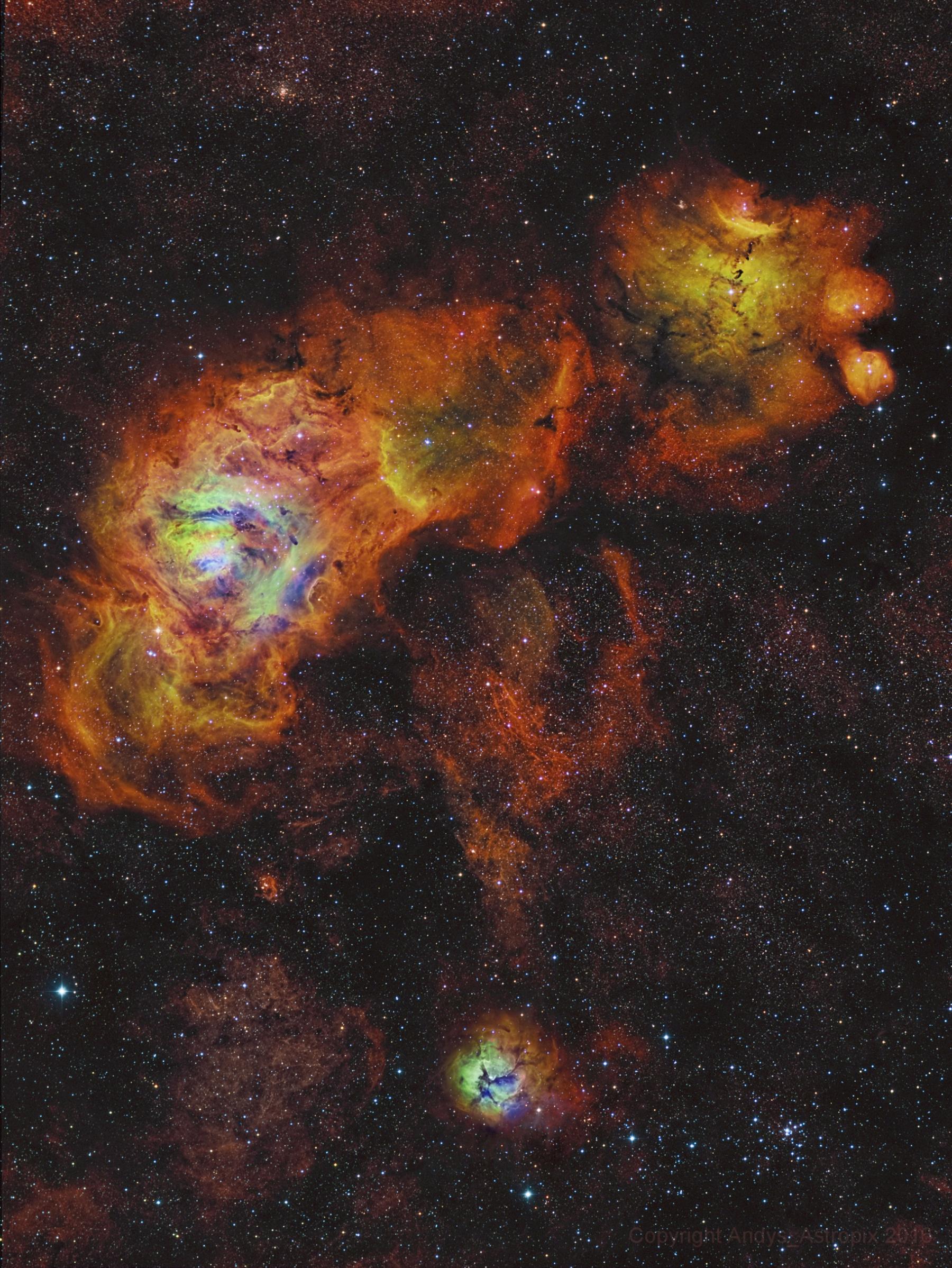Sagittarius Sunflowers