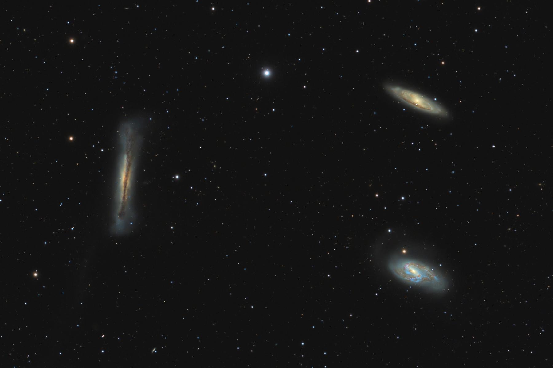 Leo Trio