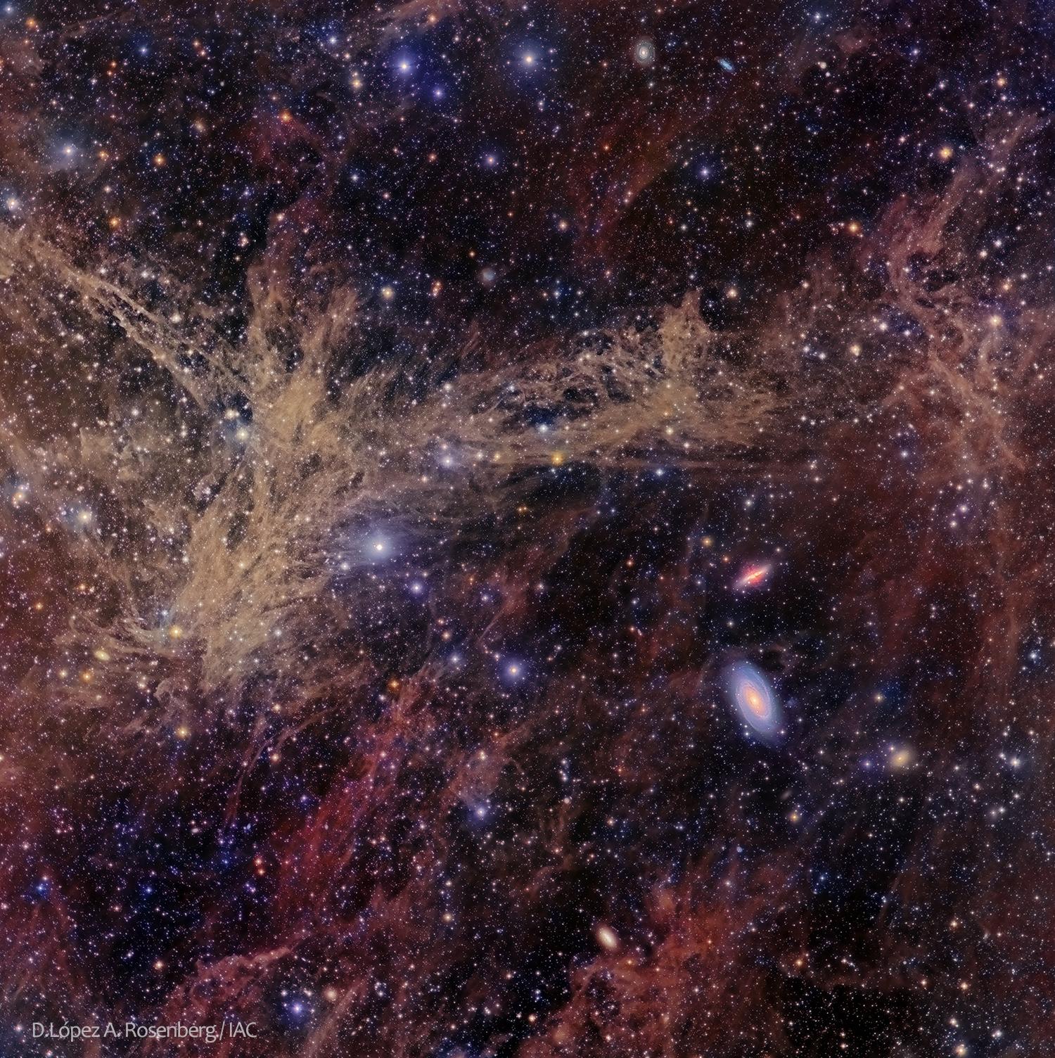 The M81 Galaxy Group through the Integrated Flux Nebula