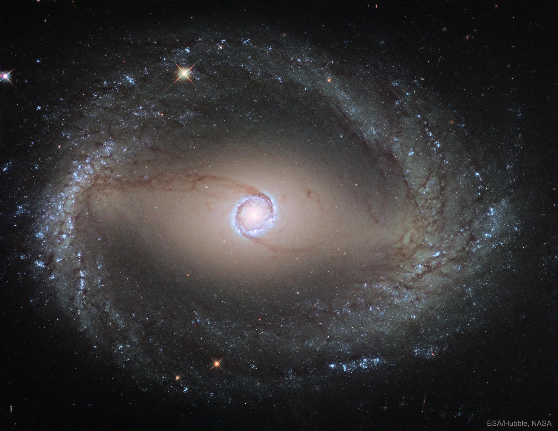 Spiral Galaxy NGC 1512: The Inner Ring