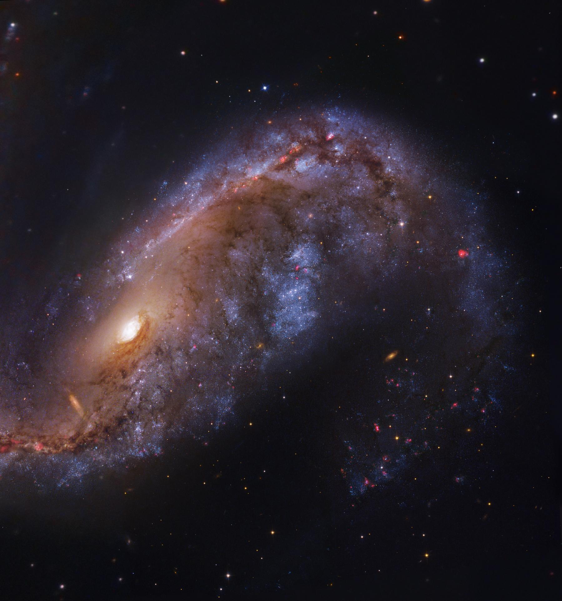 NGC 2442: Galaxy in Volans