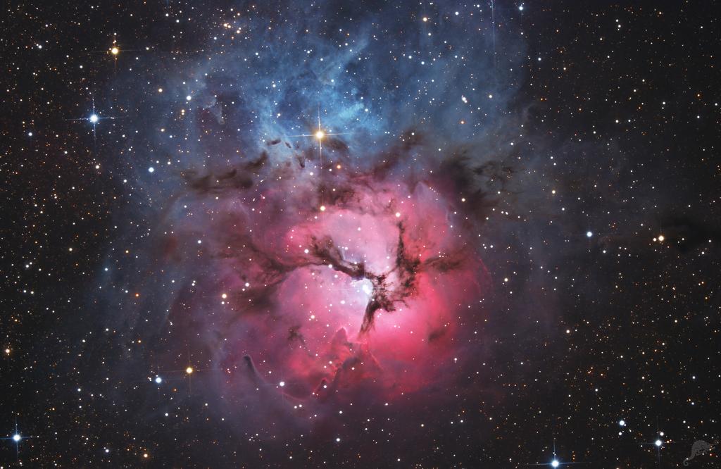 A Beautiful Trifid