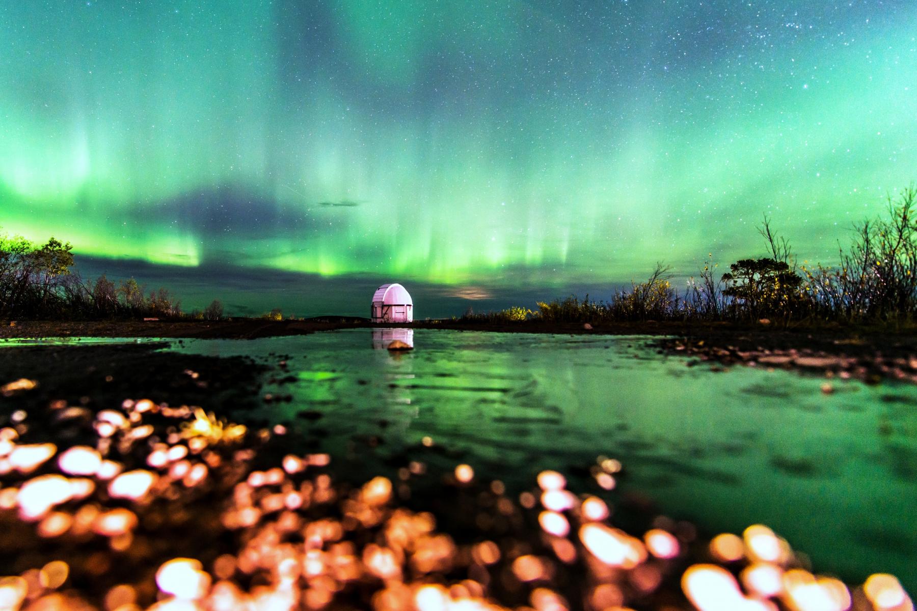 Aurora: The Frog’s View
