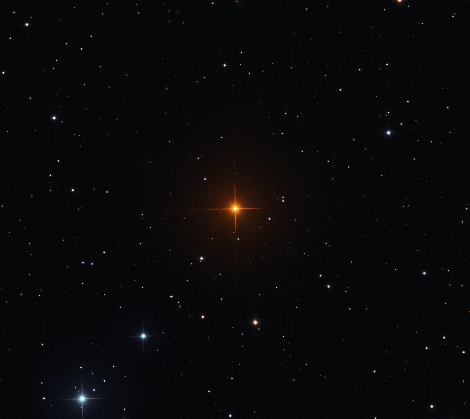 R Leporis: A Vampire’s Star
