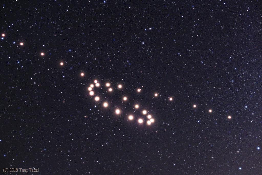 Mars in the Loop