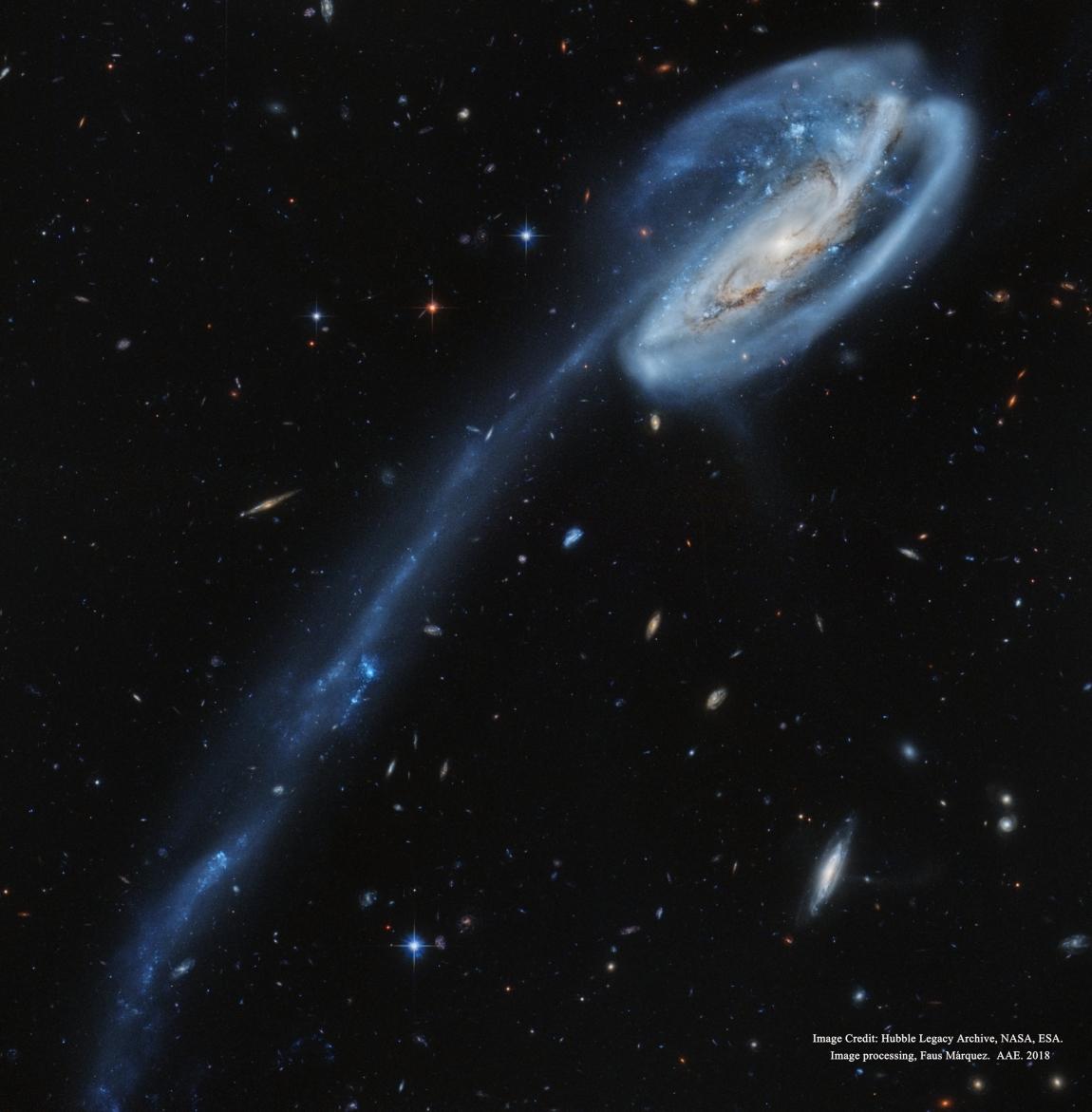 Arp 188 and the Tadpole’s Tail