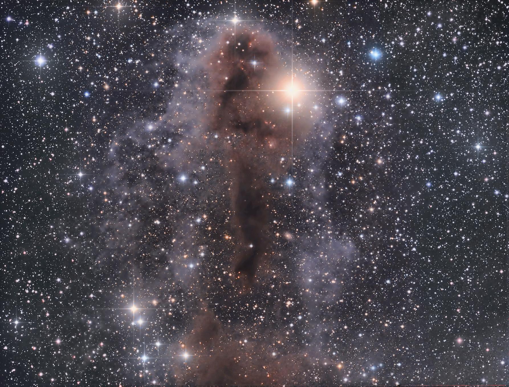 Lynds Dark Nebula 1251