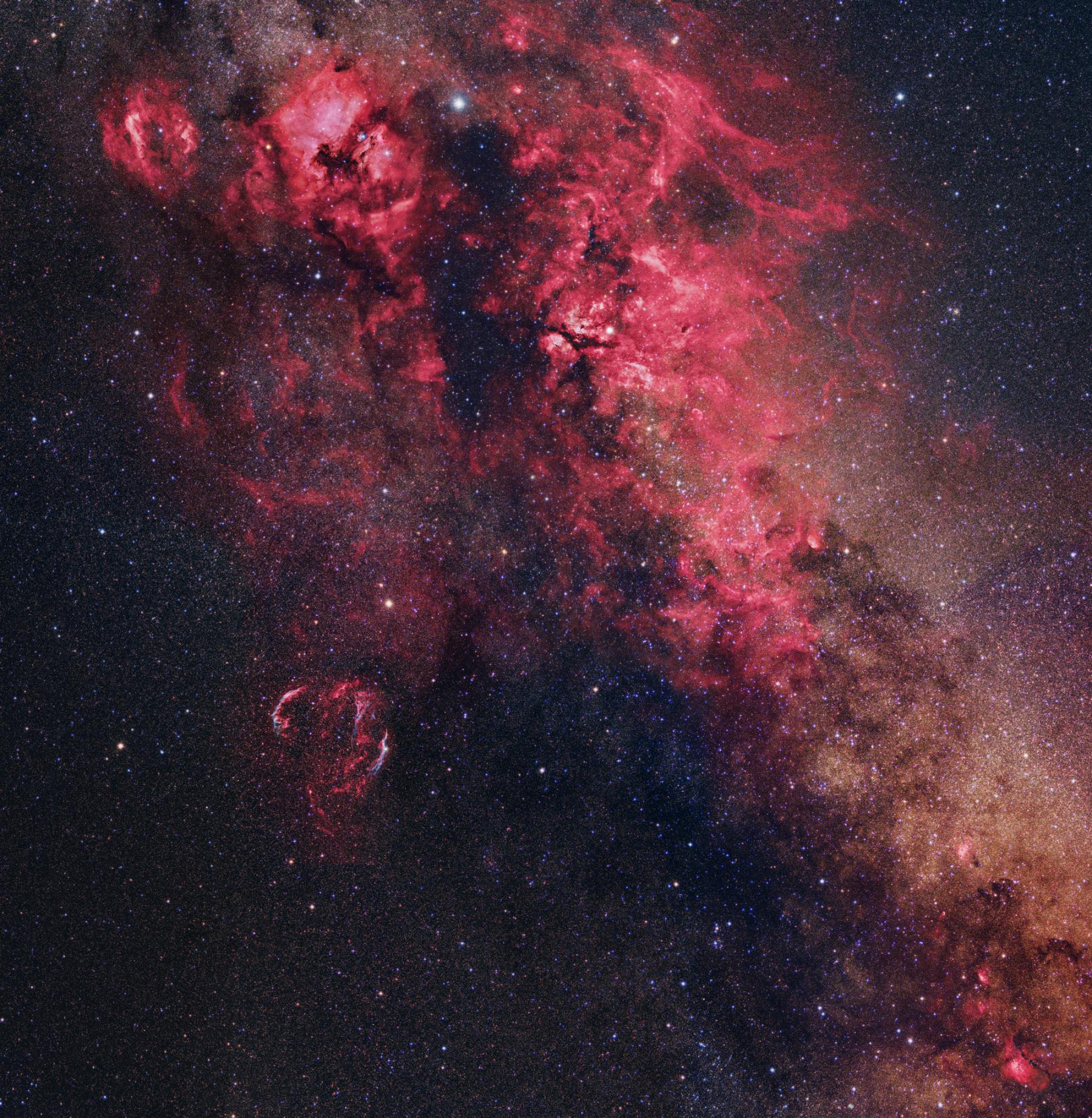 Cygnus Skyscape