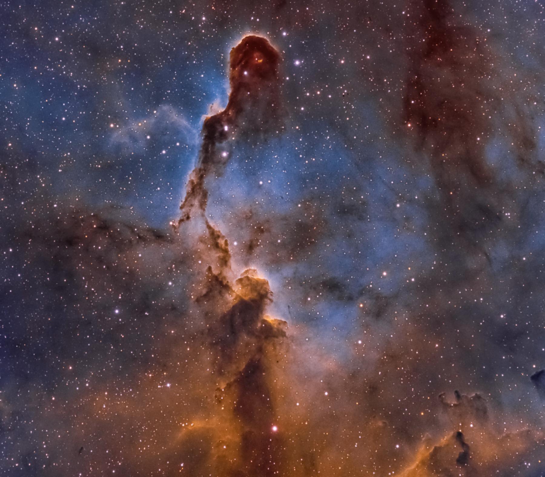 The Elephant’s Trunk Nebula in Cepheus