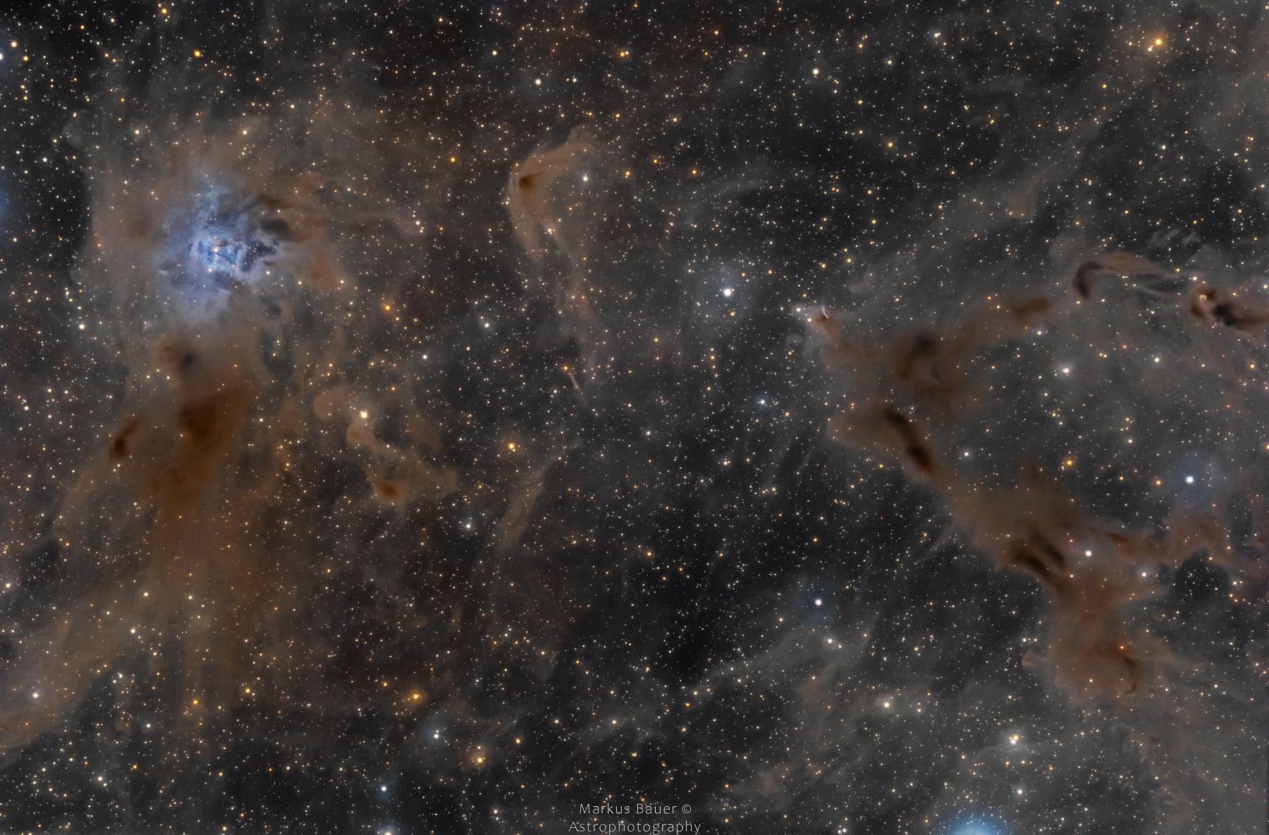 The Iris Nebula in a Field of Dust