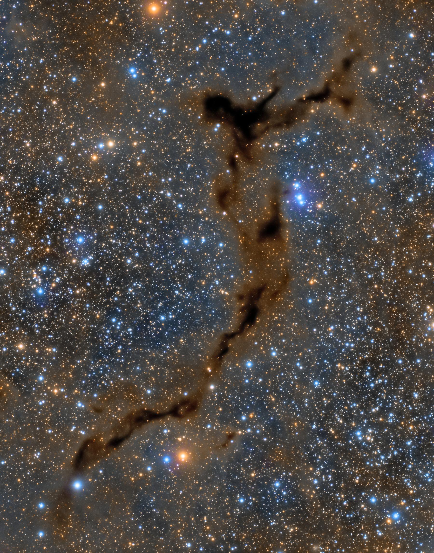 Dark Seahorse in Cepheus