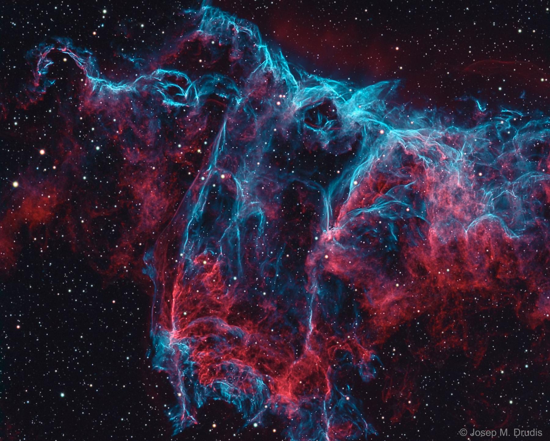 NGC 6995: The Bat Nebula