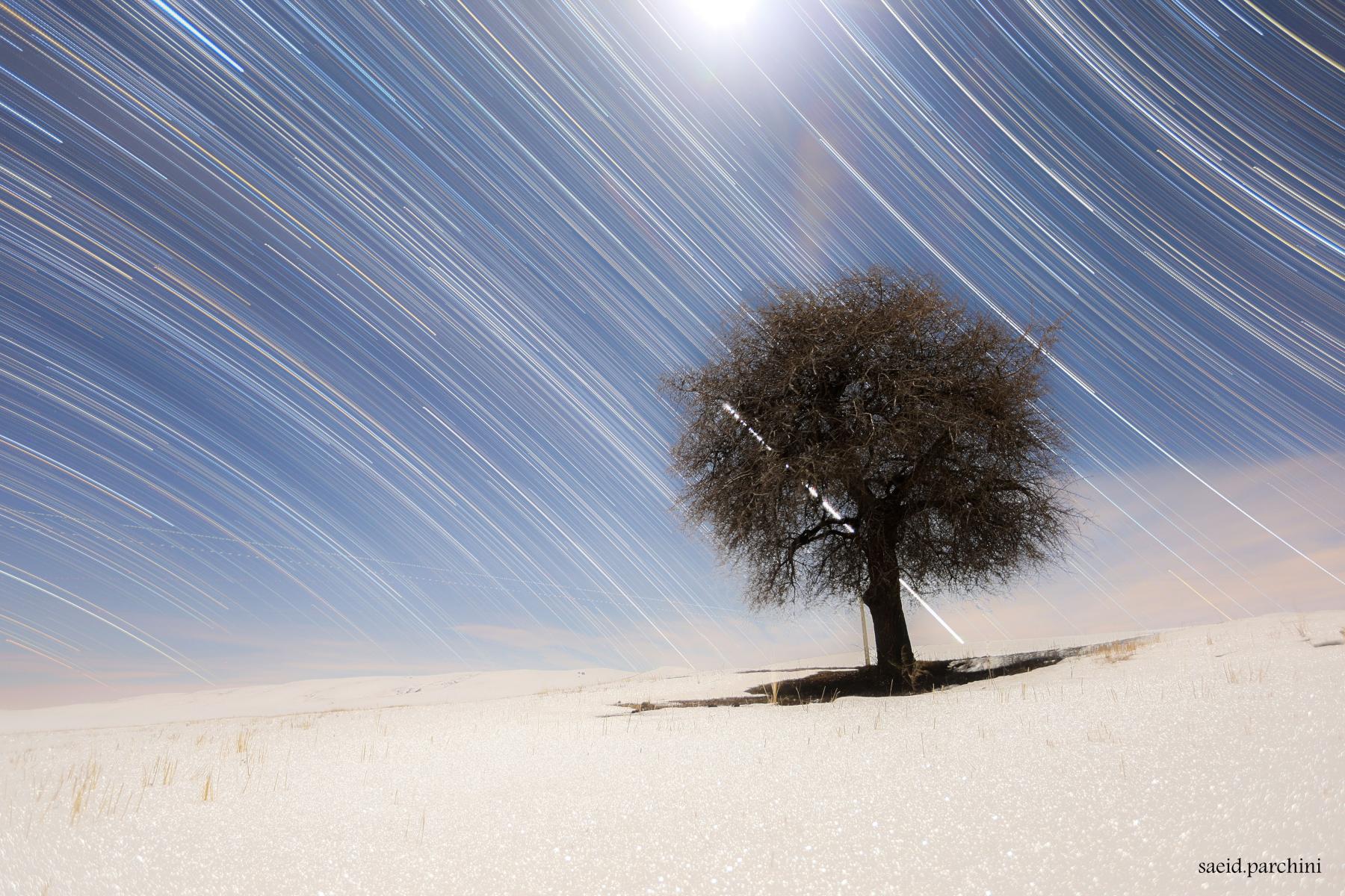 Star Trails of the North and South