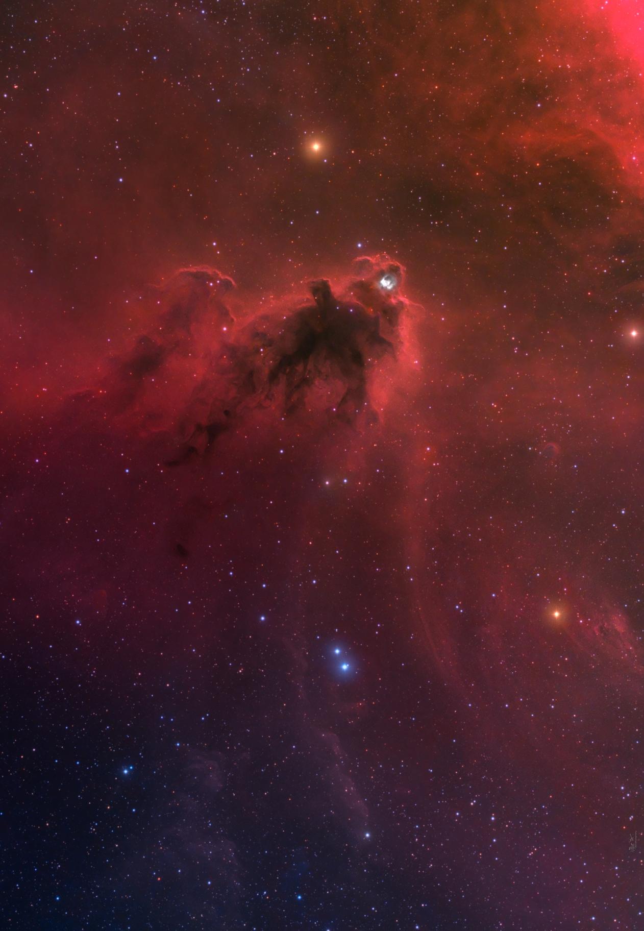 LDN 1622: Dark Nebula in Orion