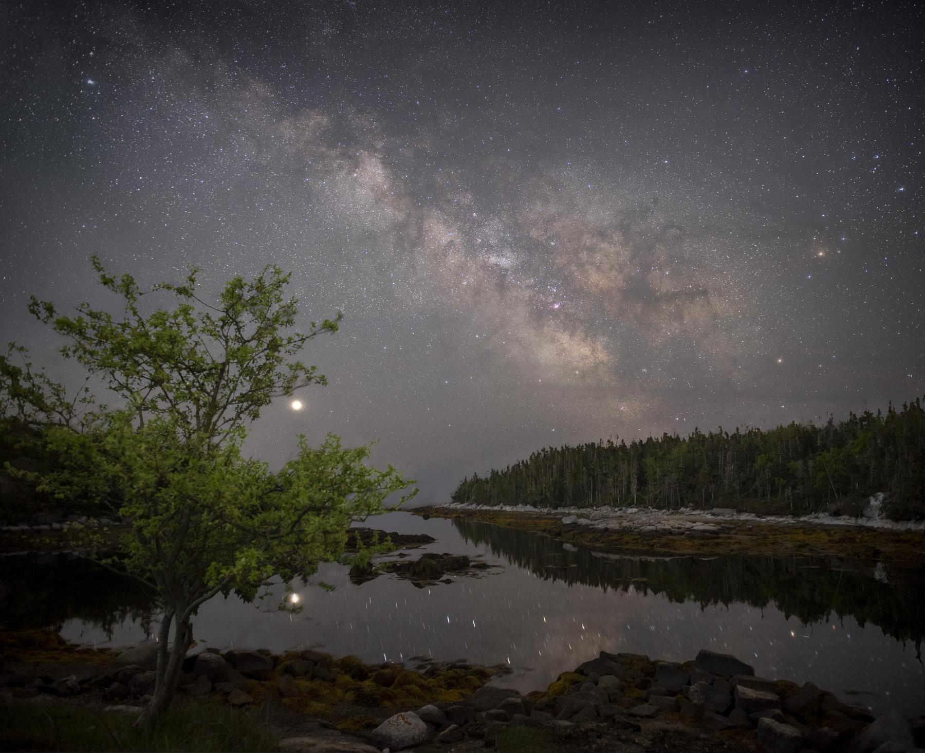 The Galaxy, the Planet, and the Apple Tree
