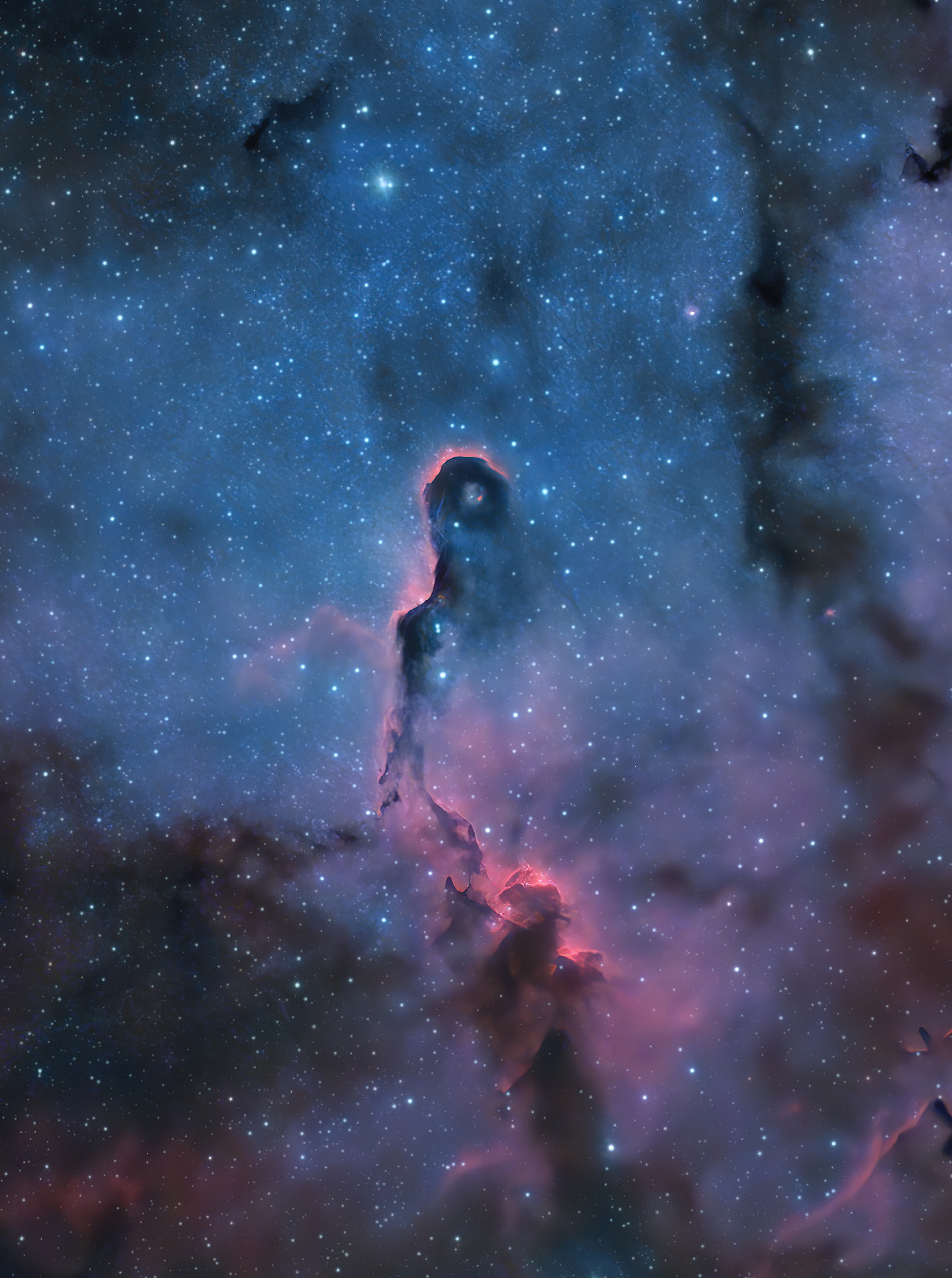 The Elephant’s Trunk Nebula in Cepheus