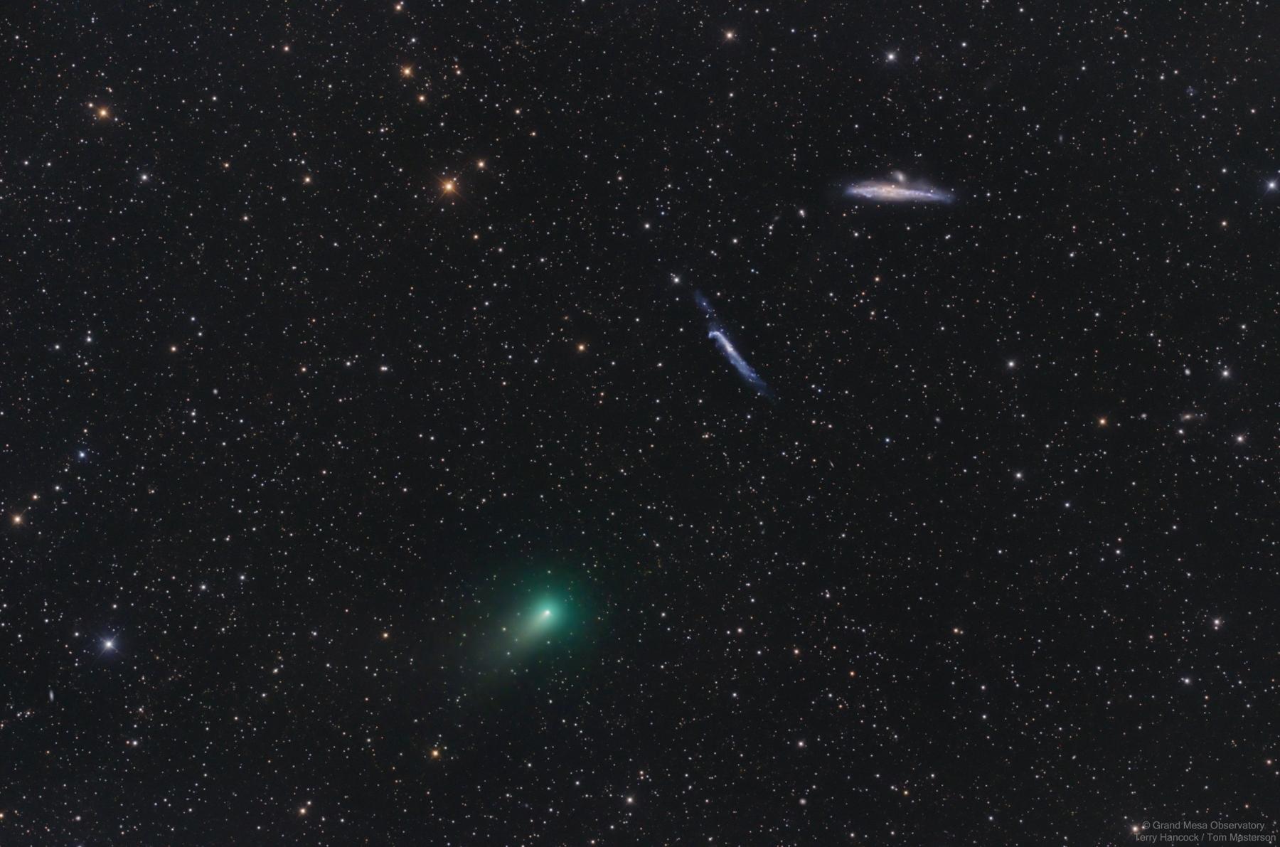 The Comet, the Whale, and the Hockey Stick