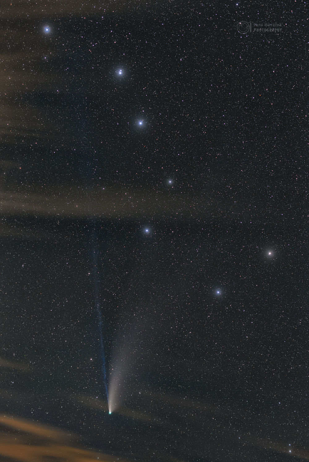 Remembering NEOWISE
