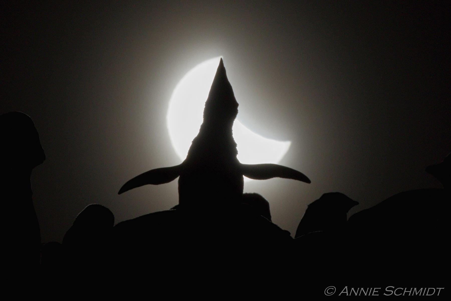 Ecstatic Solar Eclipse