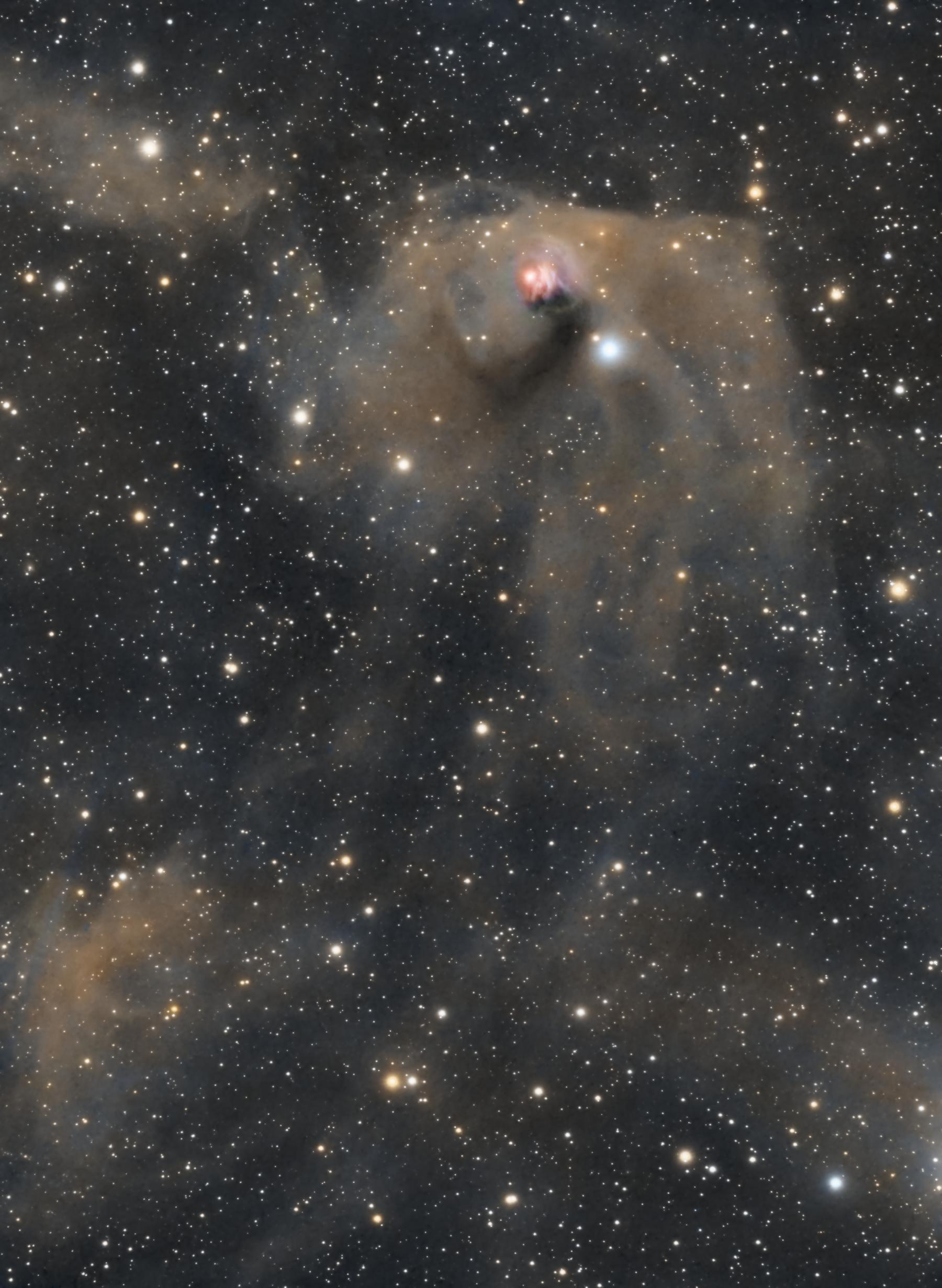 T Tauri and Hind’s Variable Nebula