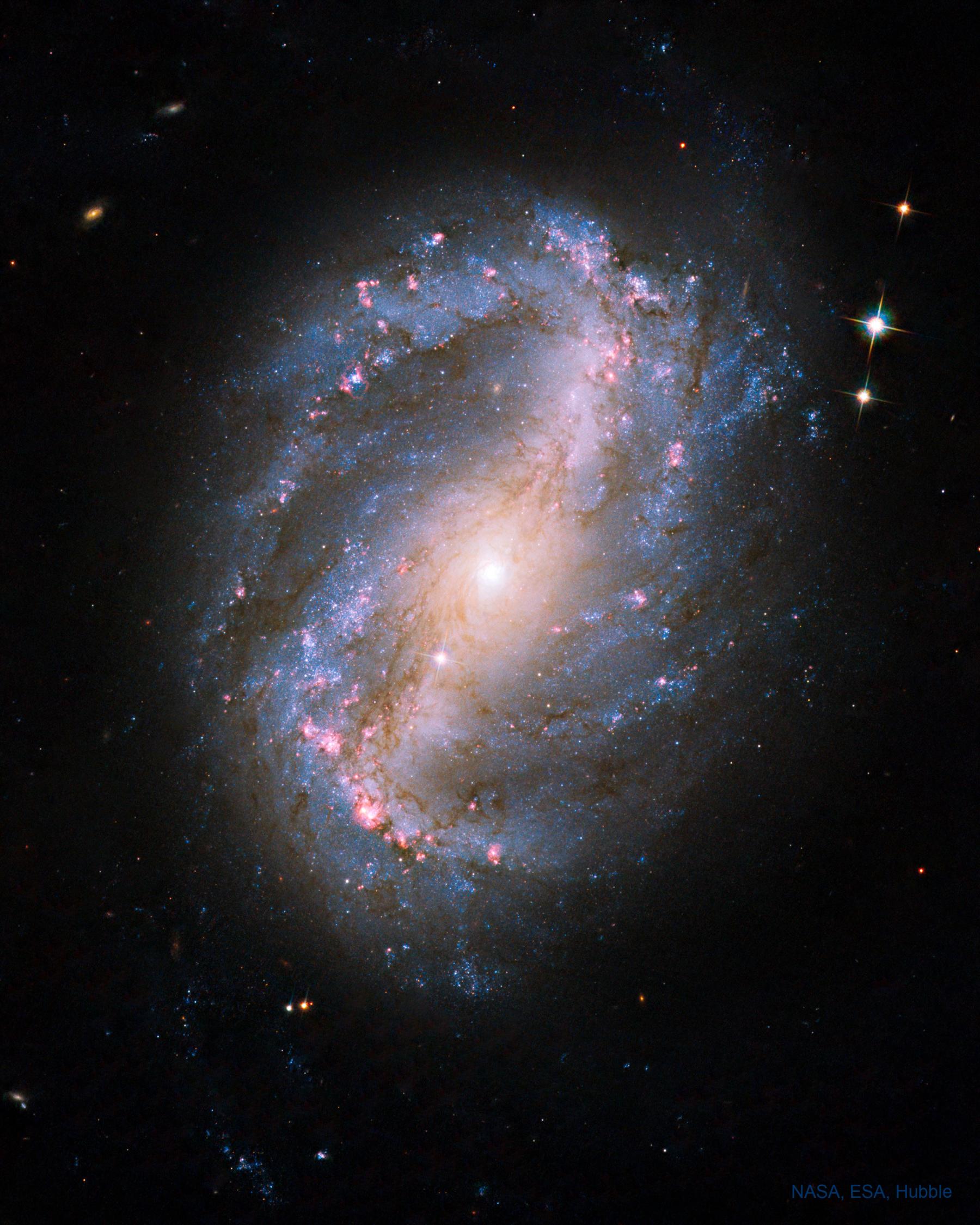 Barred Spiral Galaxy NGC 6217