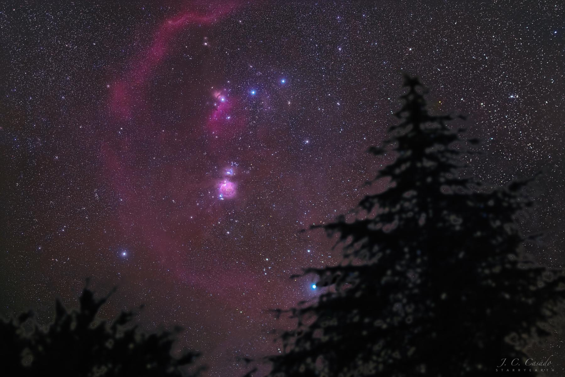 Orion Pines