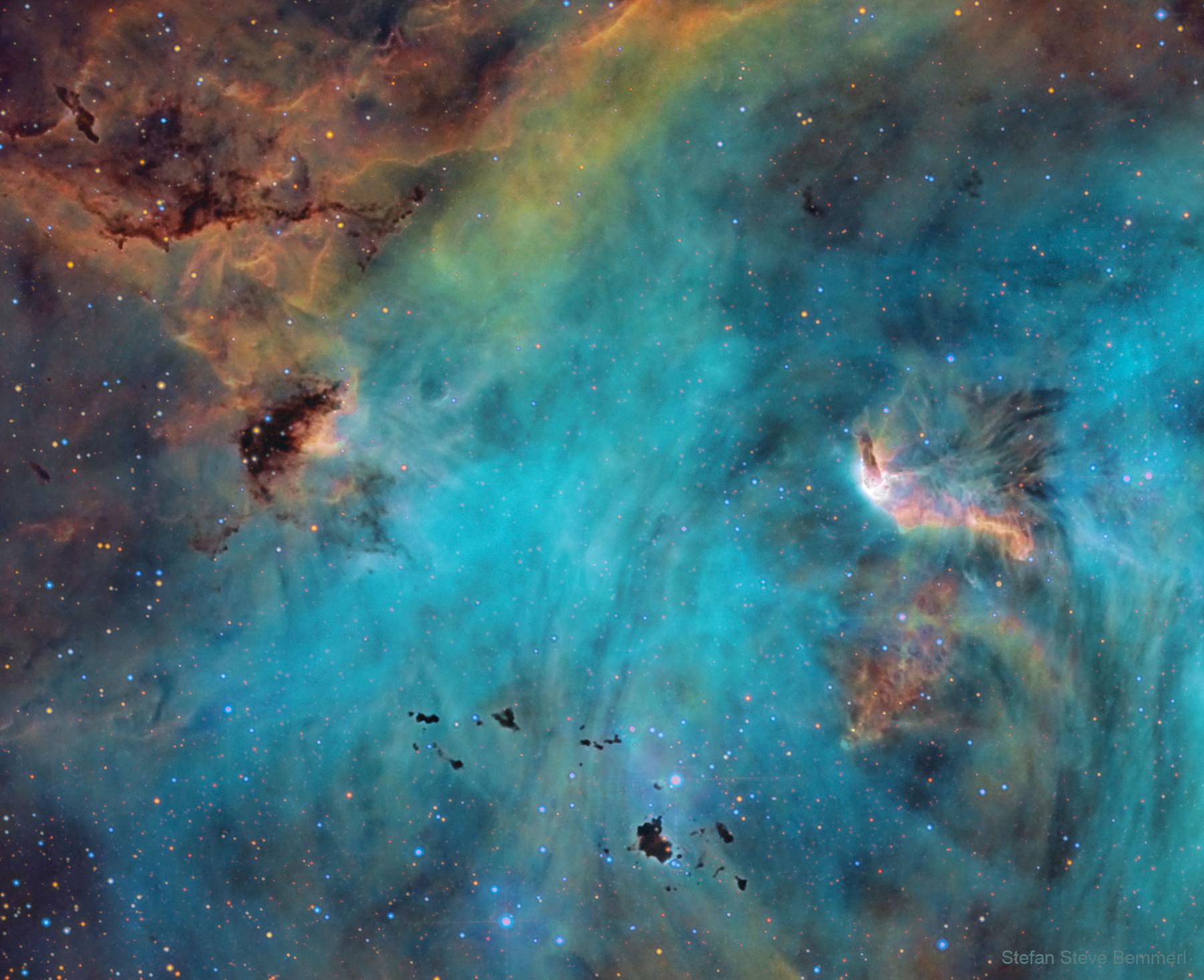 Stars and Globules in the Running Chicken Nebula