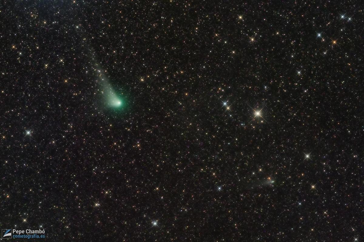 Two Comets in Southern Skies