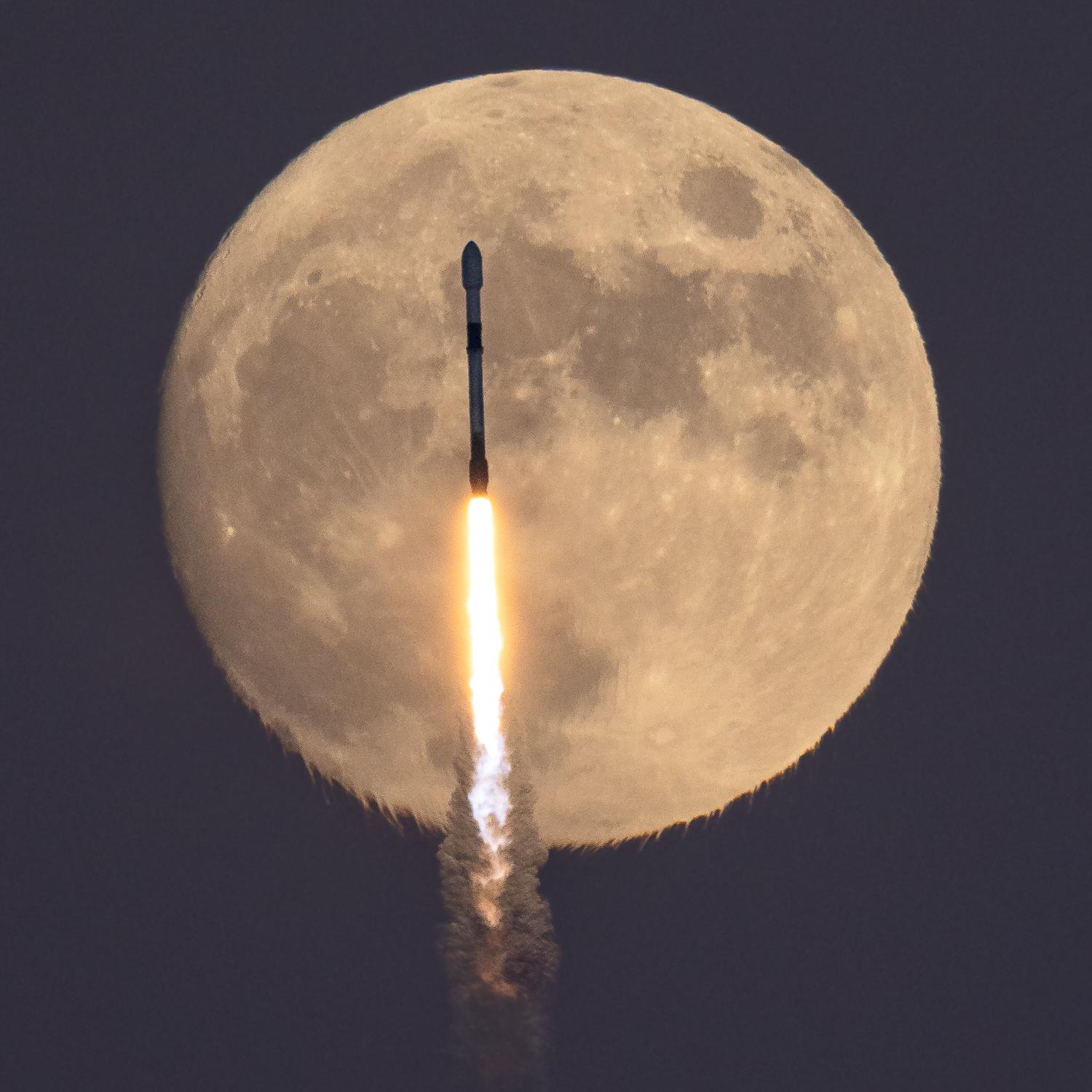 The Falcon and the Hunter’s Moon