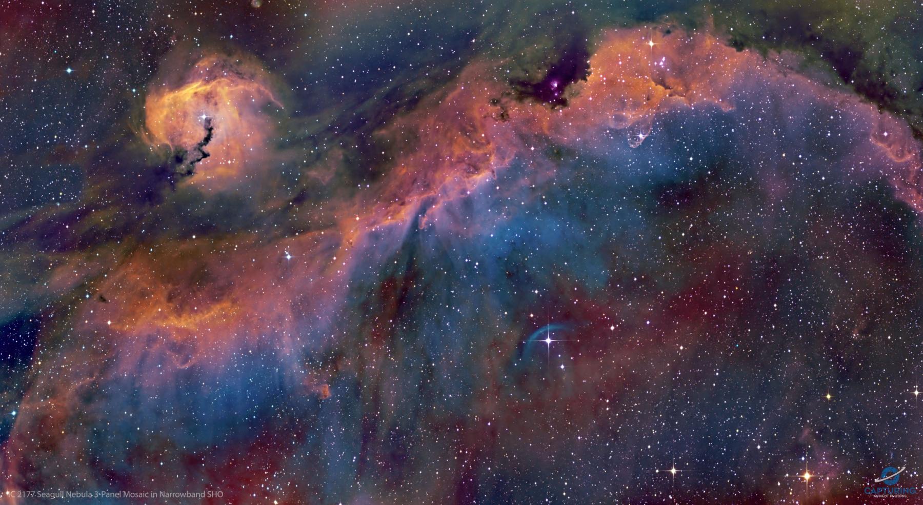 The Seagull Nebula