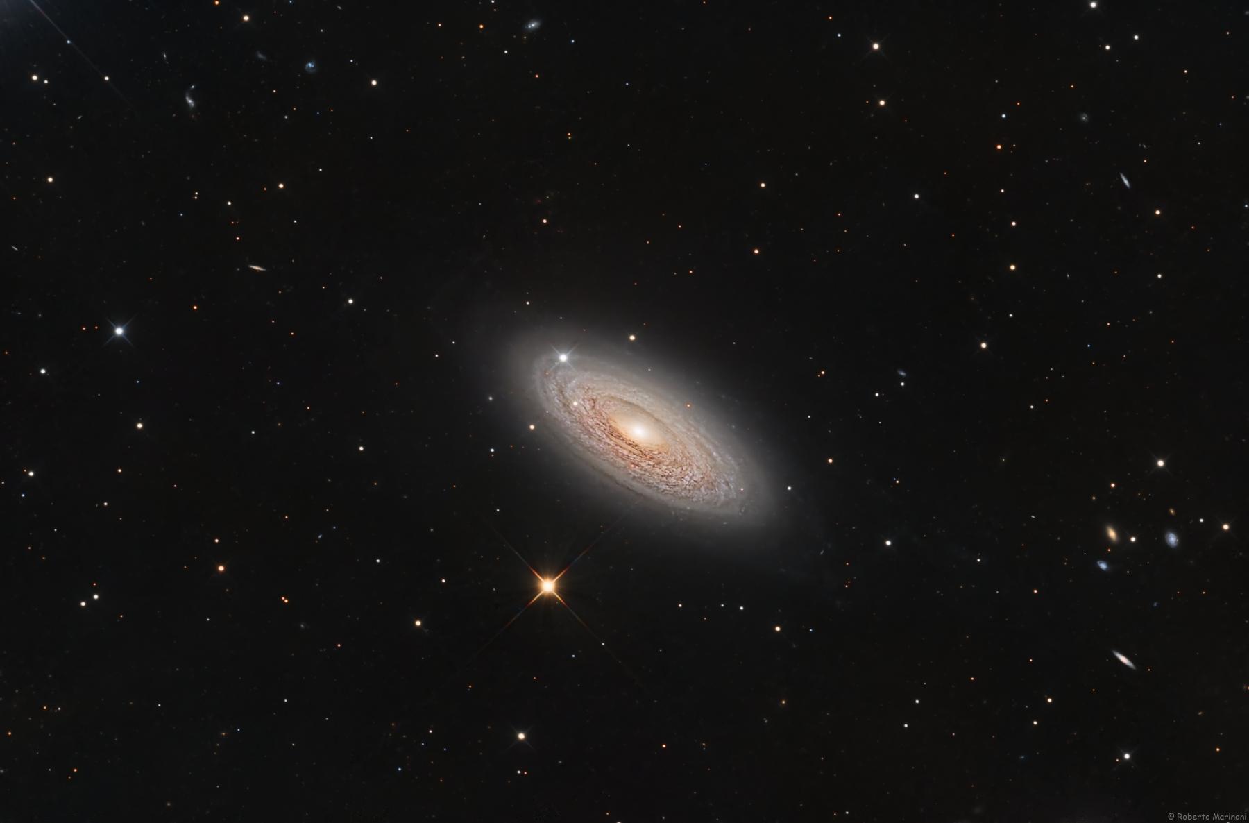 Spiral Galaxy NGC 2841