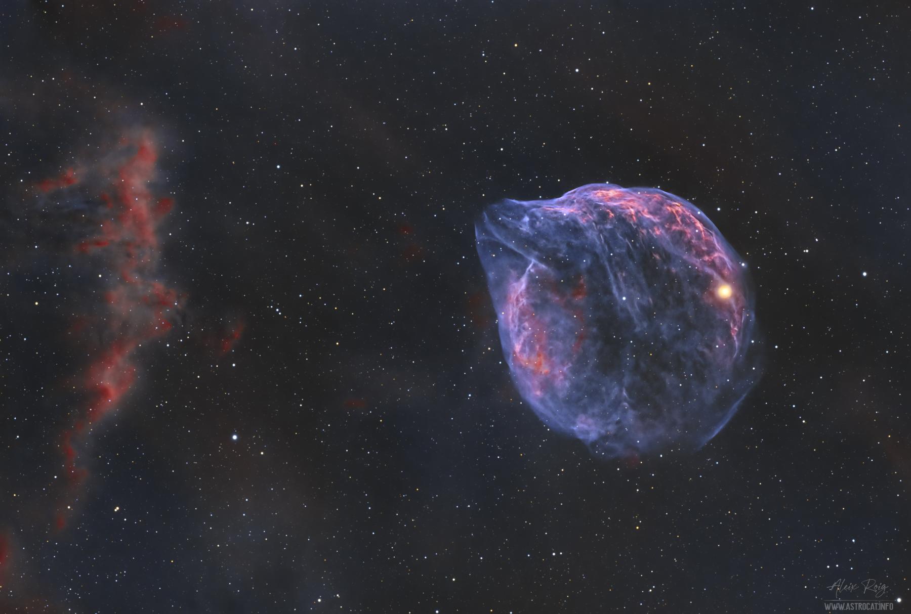 Sh2-308: A Dolphin Shaped Star Bubble