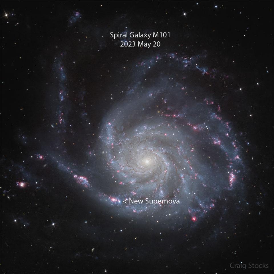 Supernova Discovered in Nearby Spiral Galaxy M101