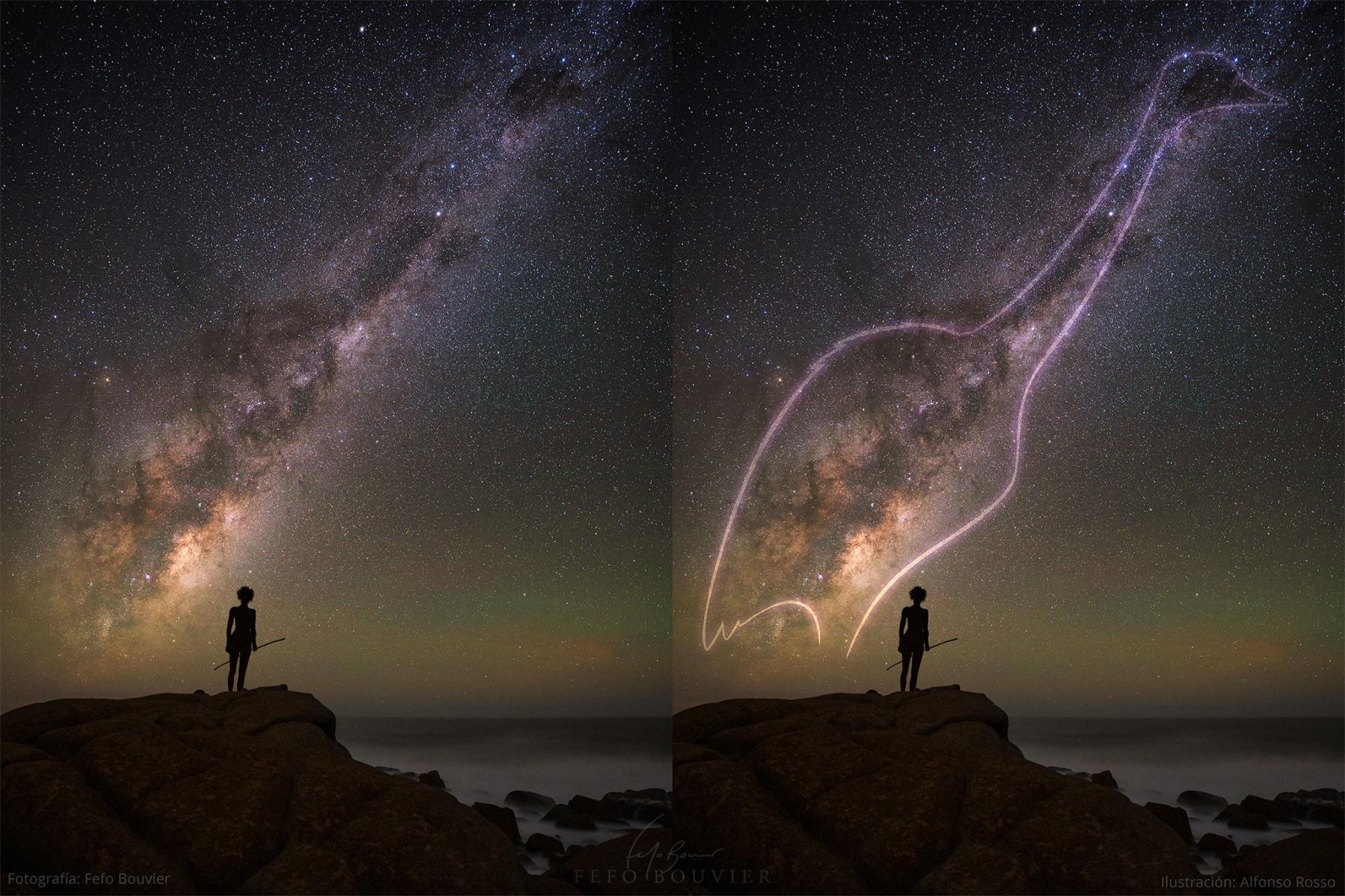 The Nandu in the Milky Way