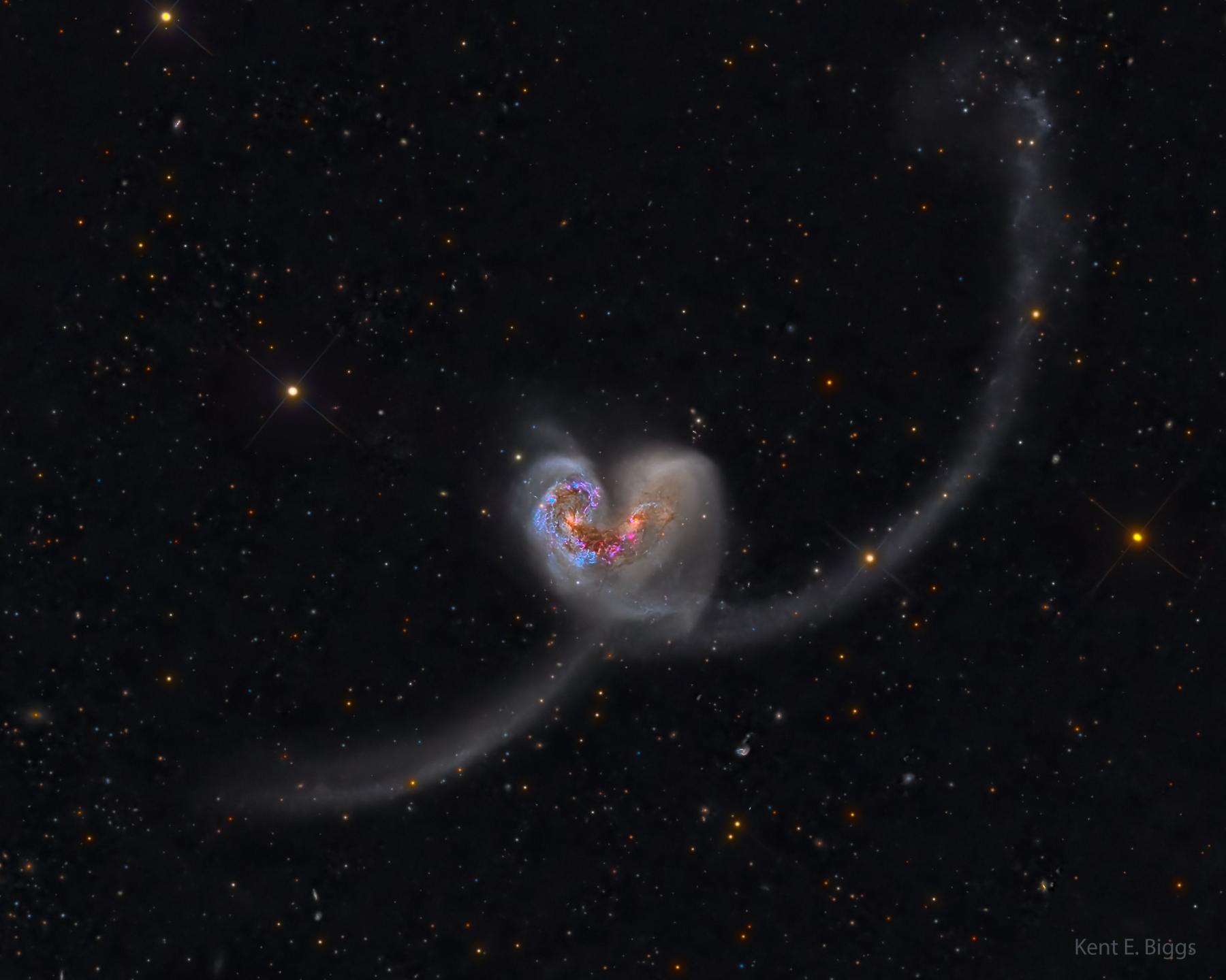 The Heart Shaped Antennae Galaxies