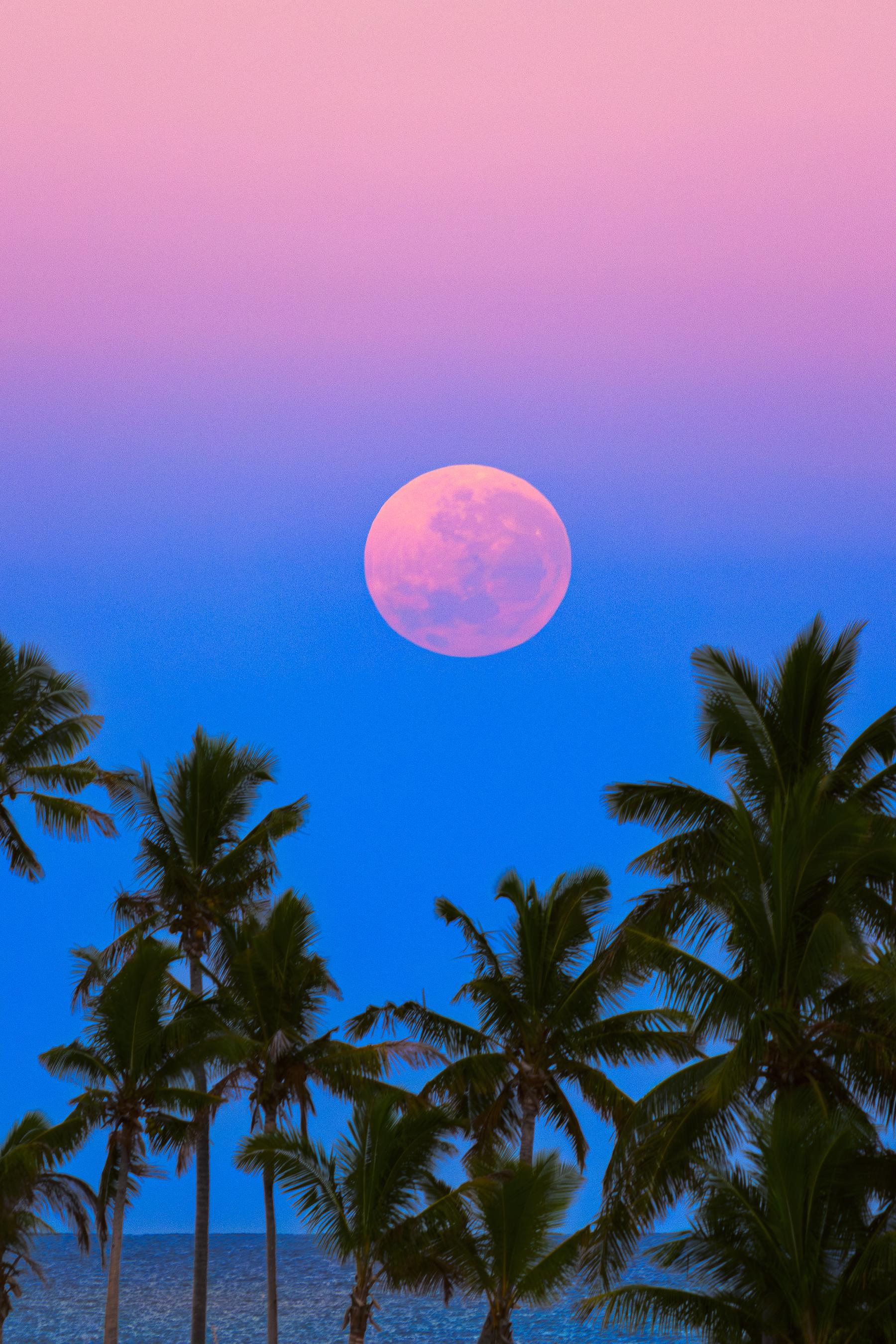 South Pacific Shadowset