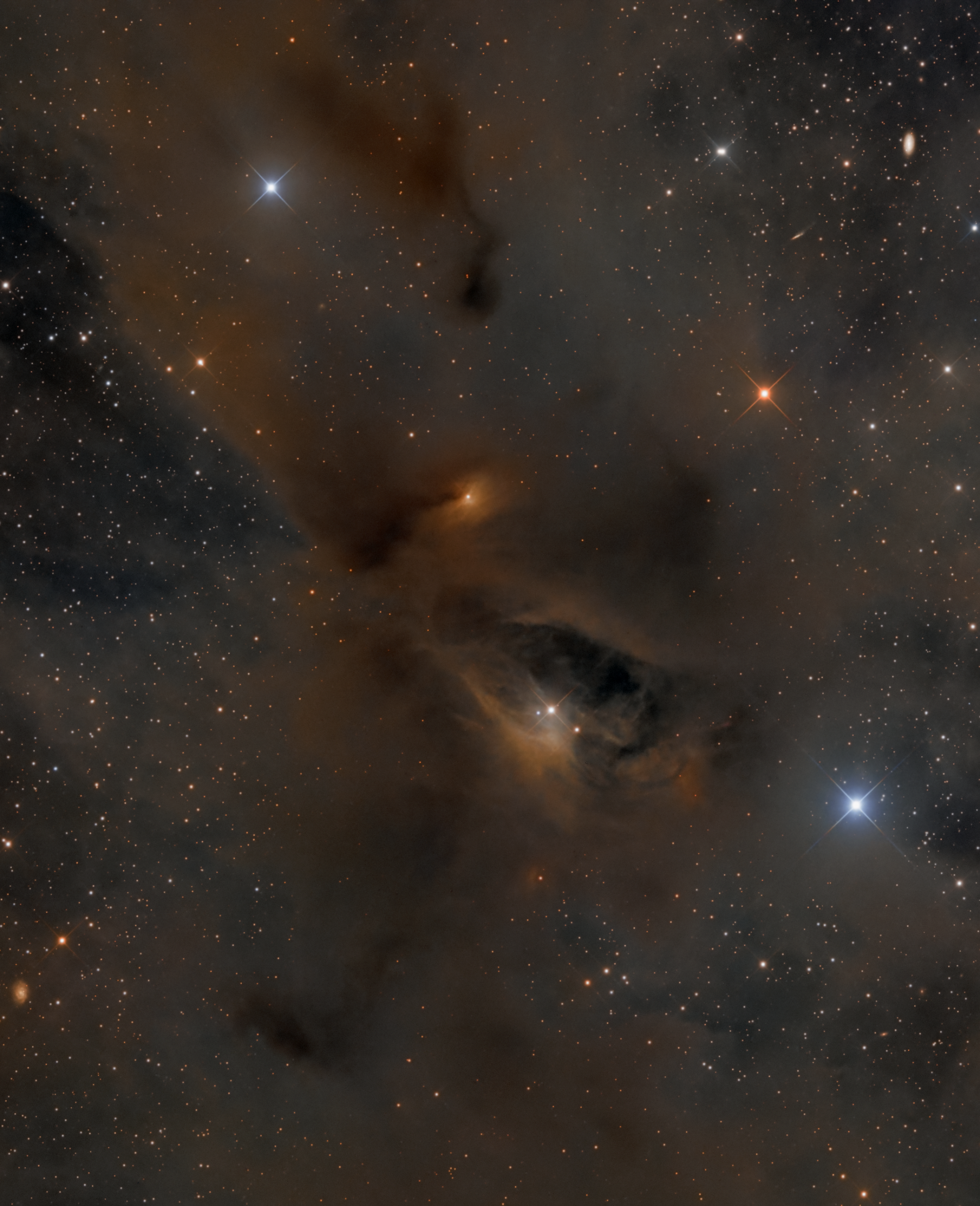 Young Stars, Dark Nebulae