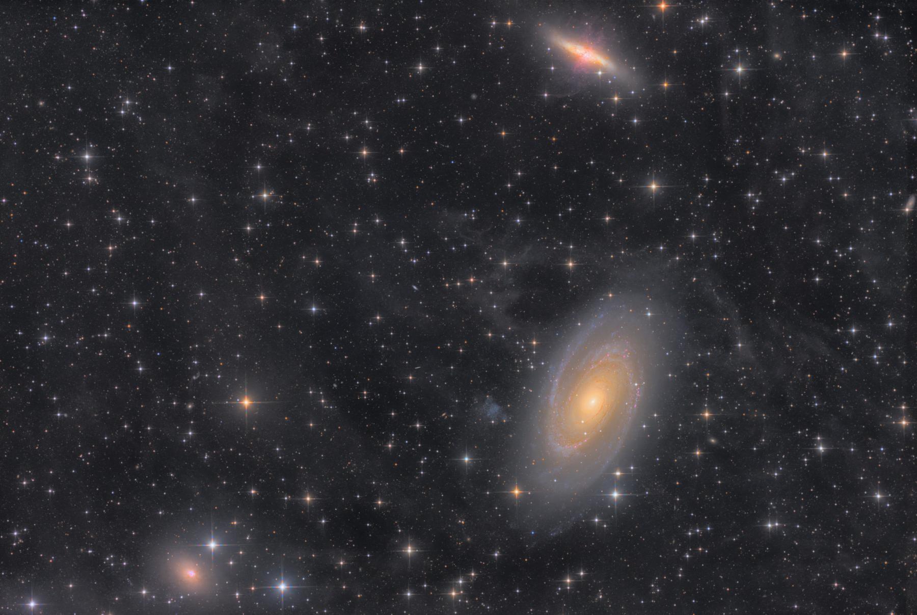 38 Hours in the M81 Group