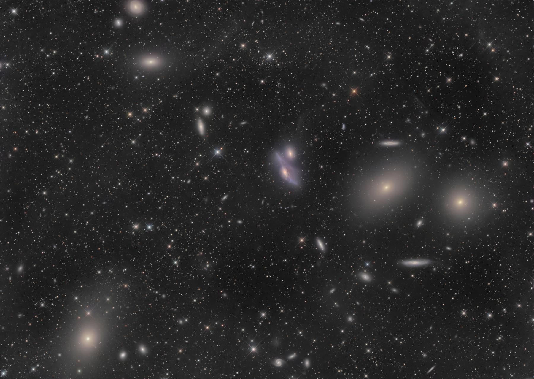 Virgo Cluster Galaxies