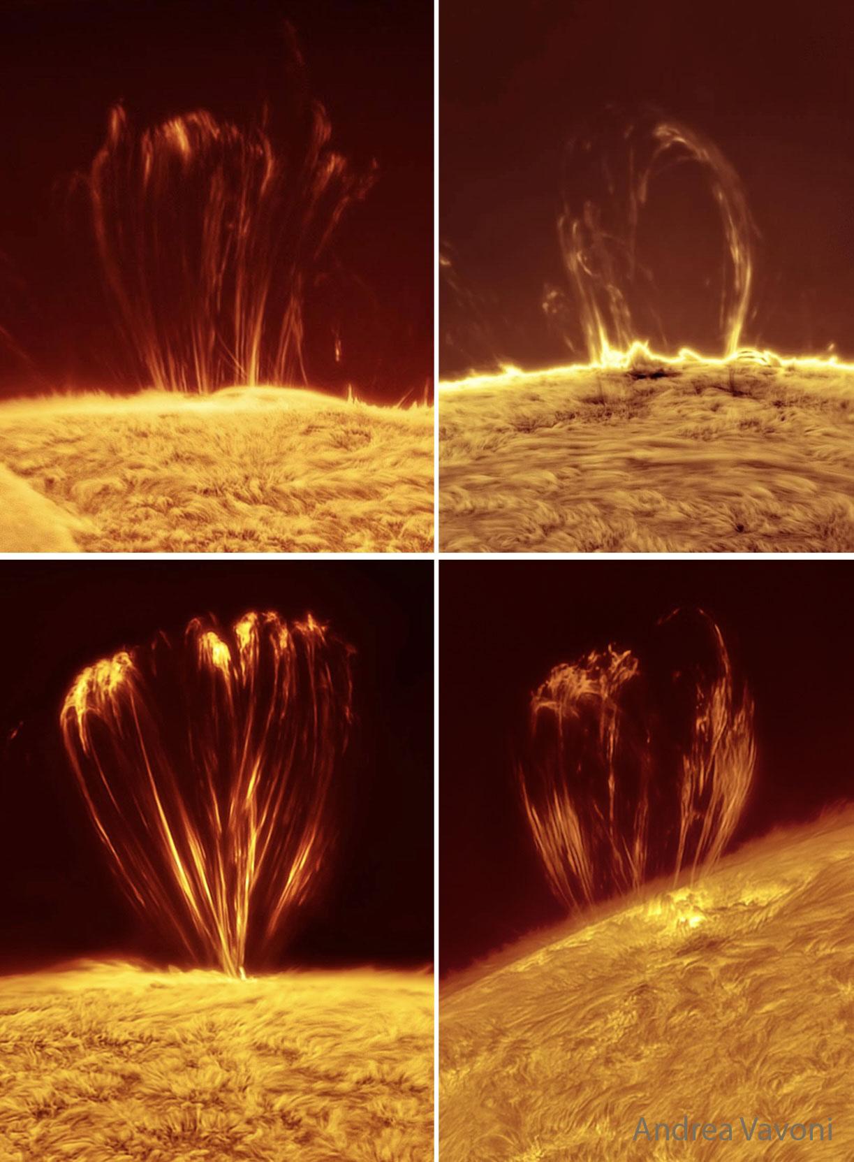 Coronal Loops on the Sun