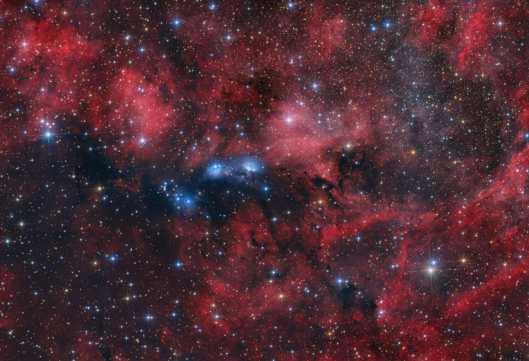 The NGC 6914 Complex