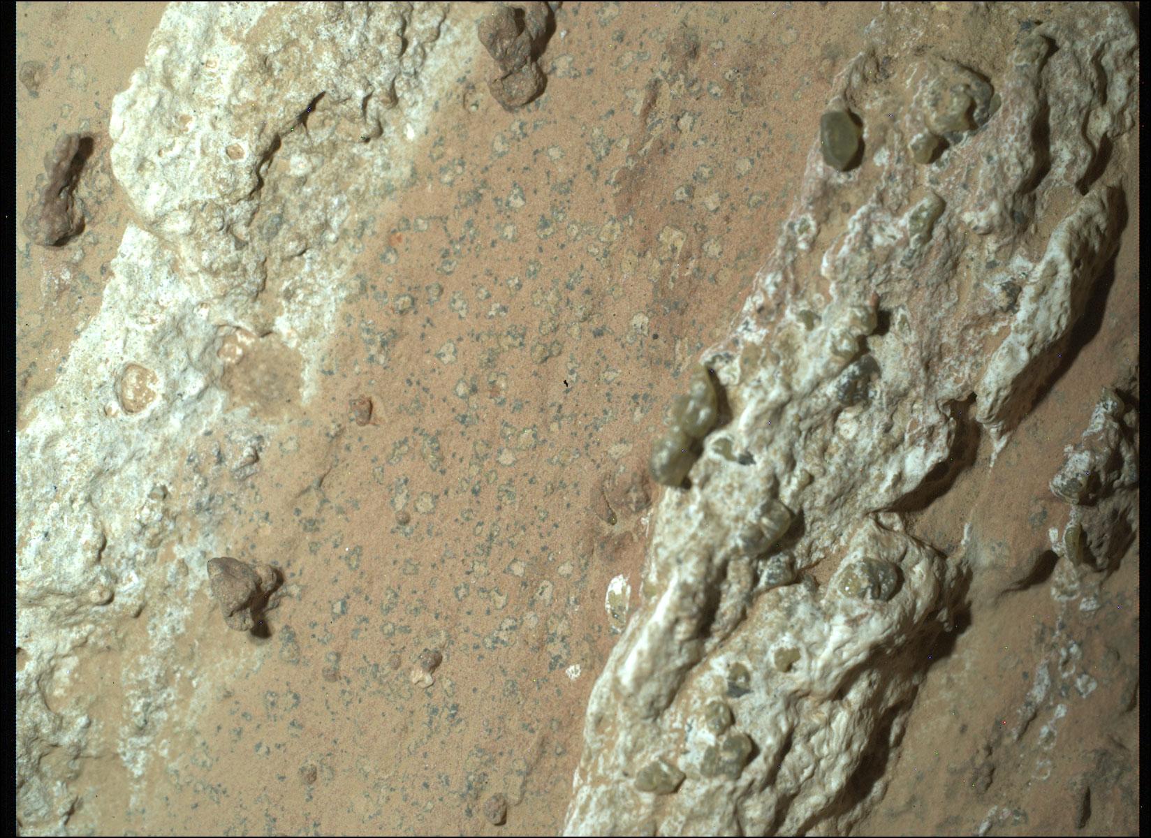 Leopard Spots on Martian Rocks