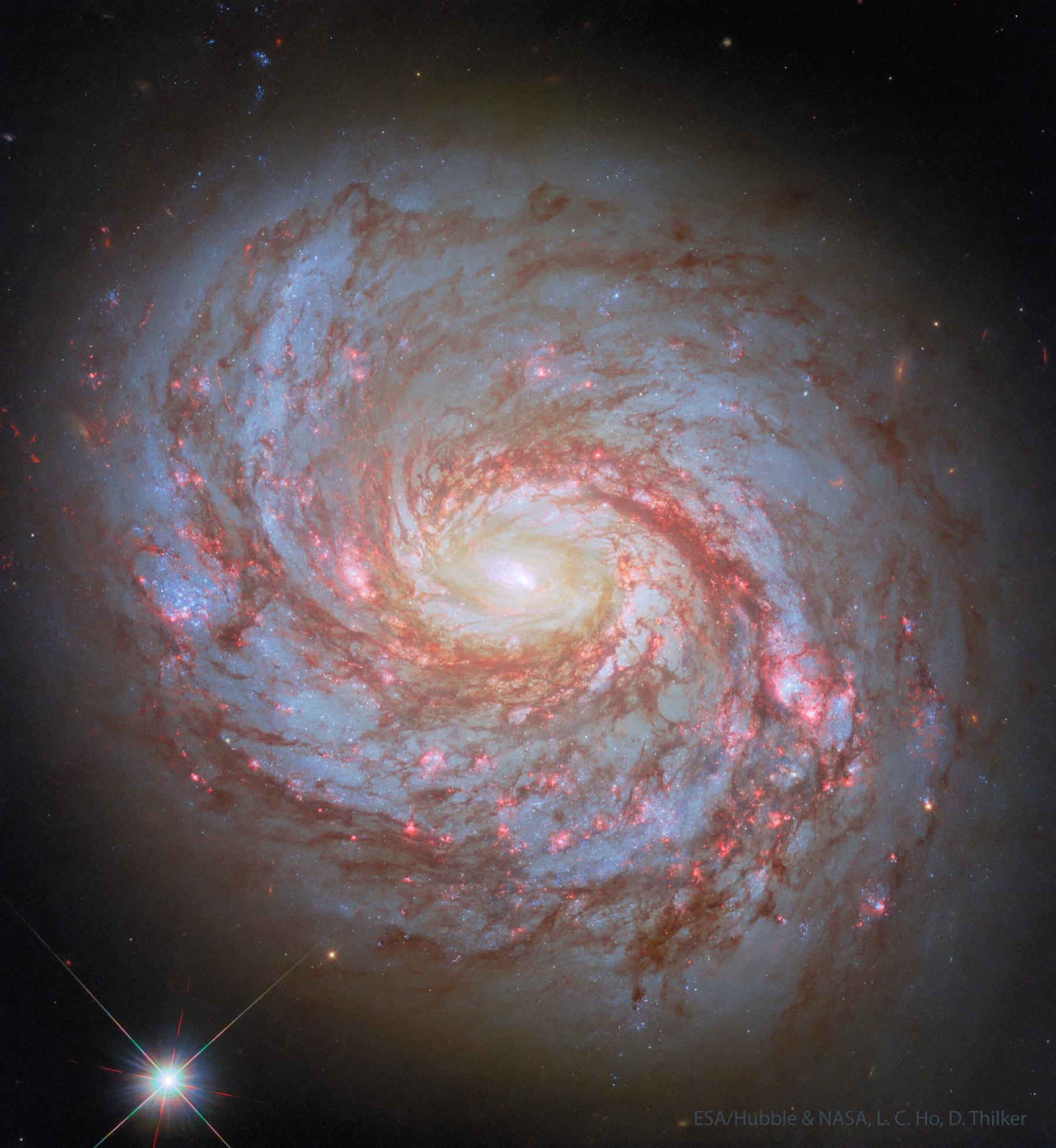 M77: Spiral Galaxy with an Active Center