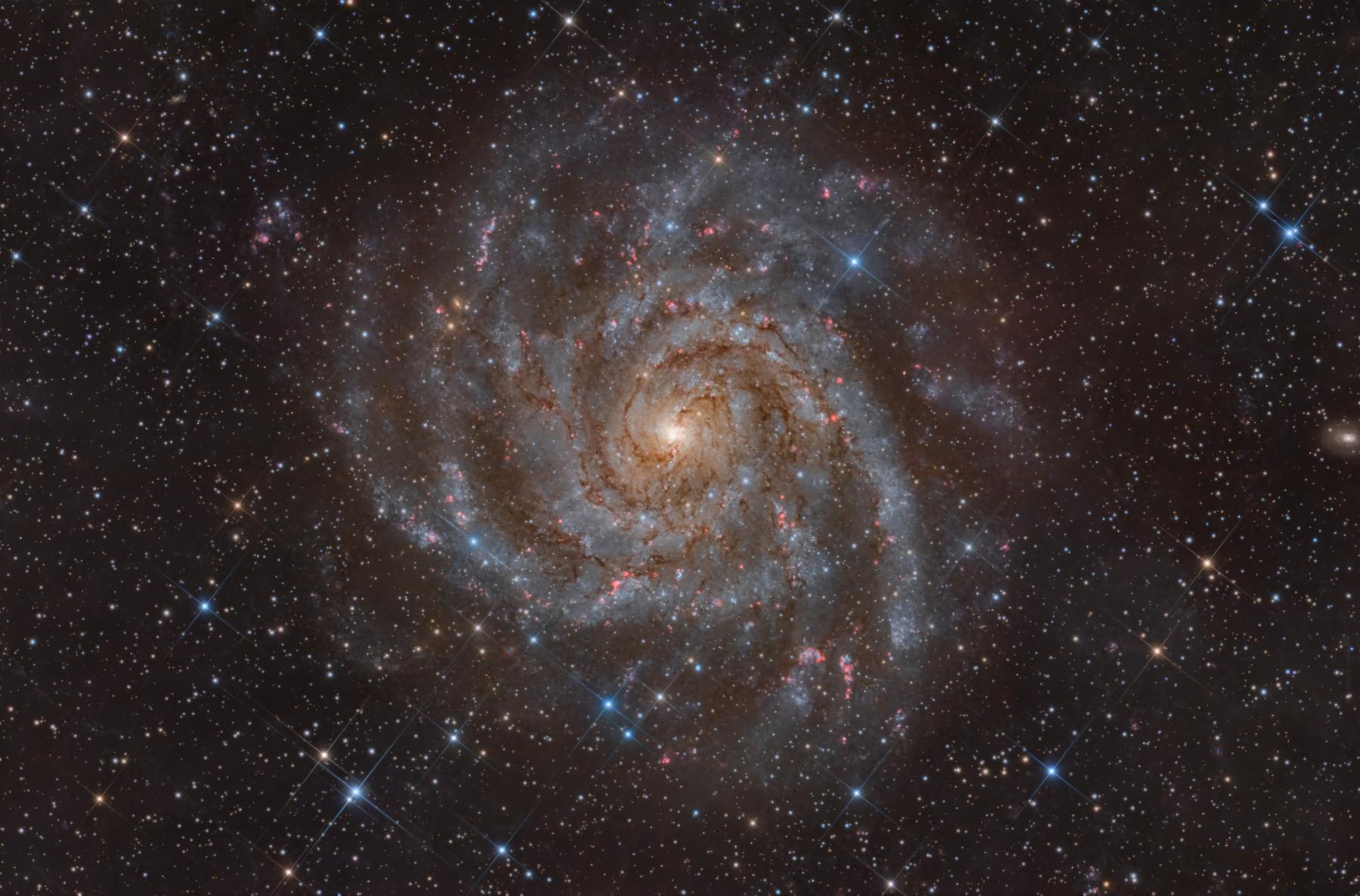 IC 342: Hidden Galaxy in Camelopardalis