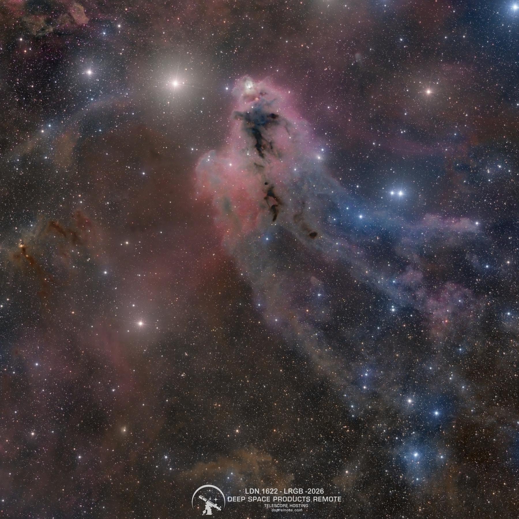 LDN 1622: Dark Nebula in Orion