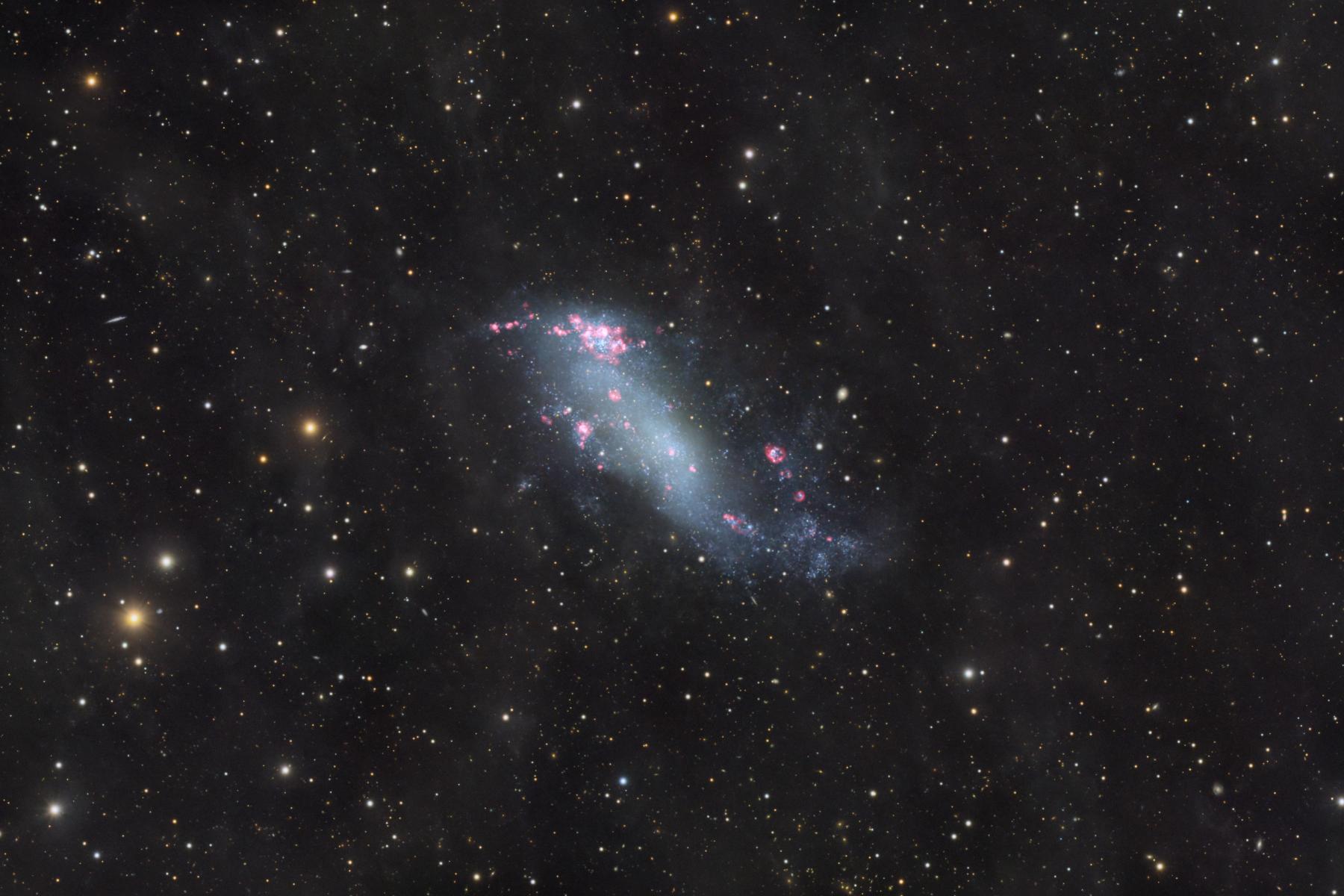 IC 2574: Coddington’s Nebula
