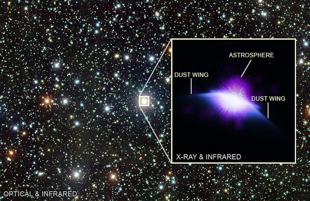 The Astrosphere of HD 61005