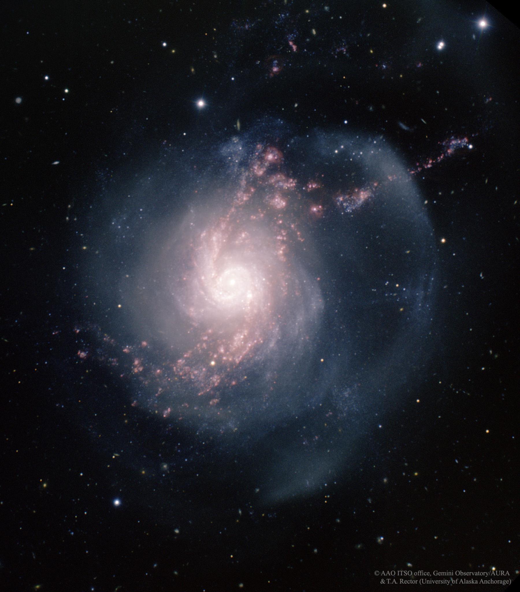 NGC 3310: A Starburst Spiral Galaxy